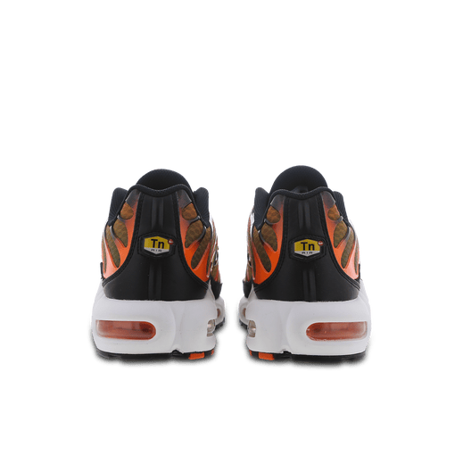 TN