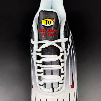 TN PLUS III