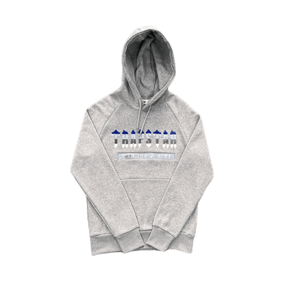 CHENILLE DECODED 2.0