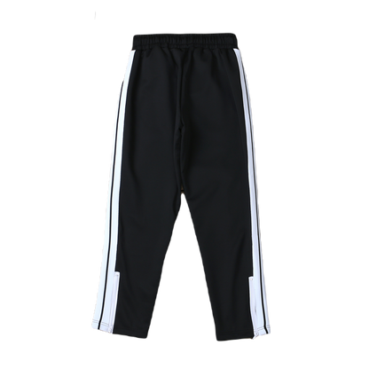 PLM-PANT