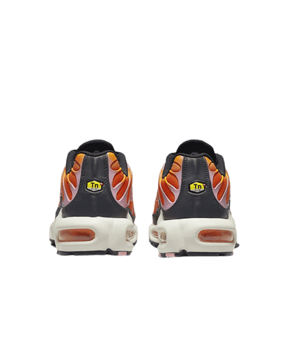 TN