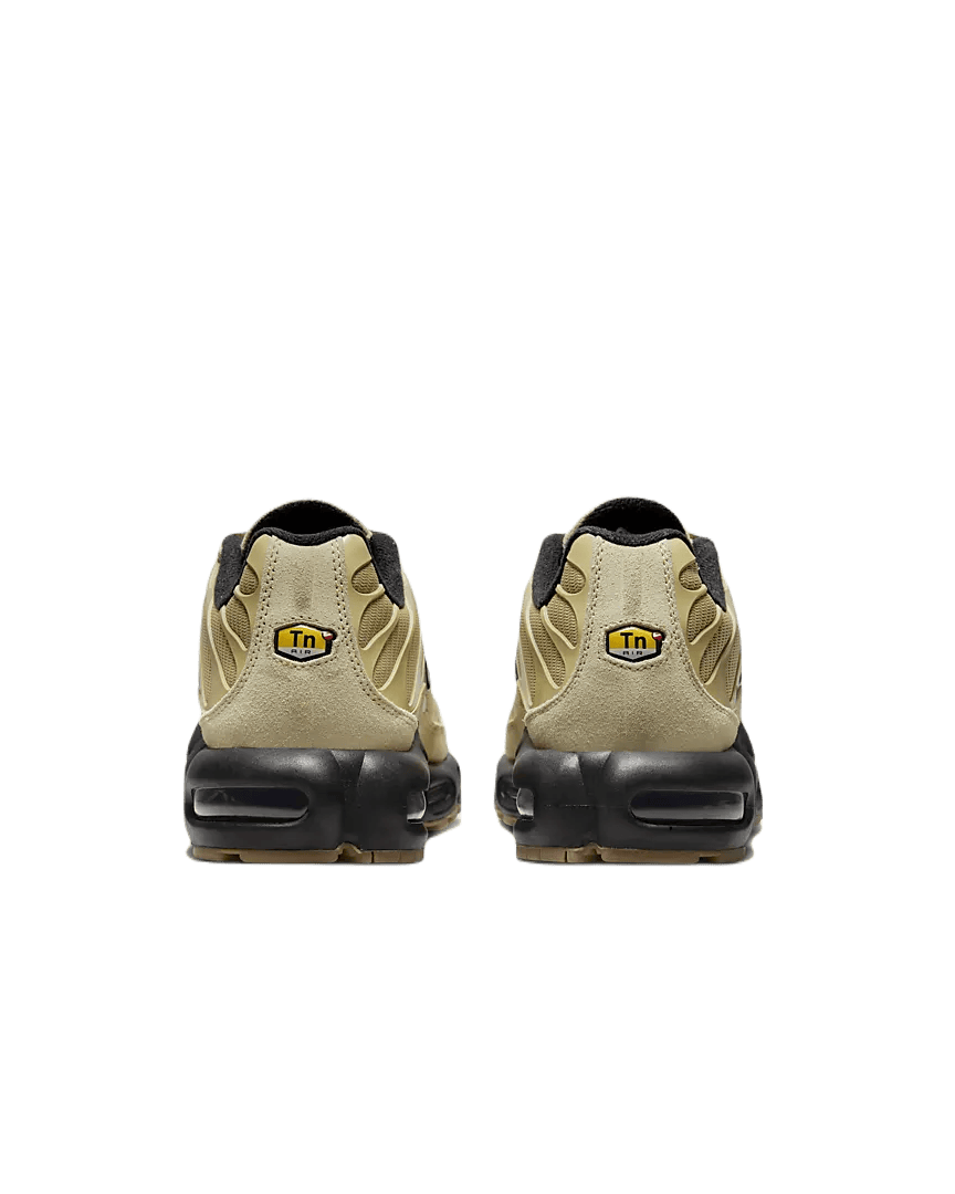 TN