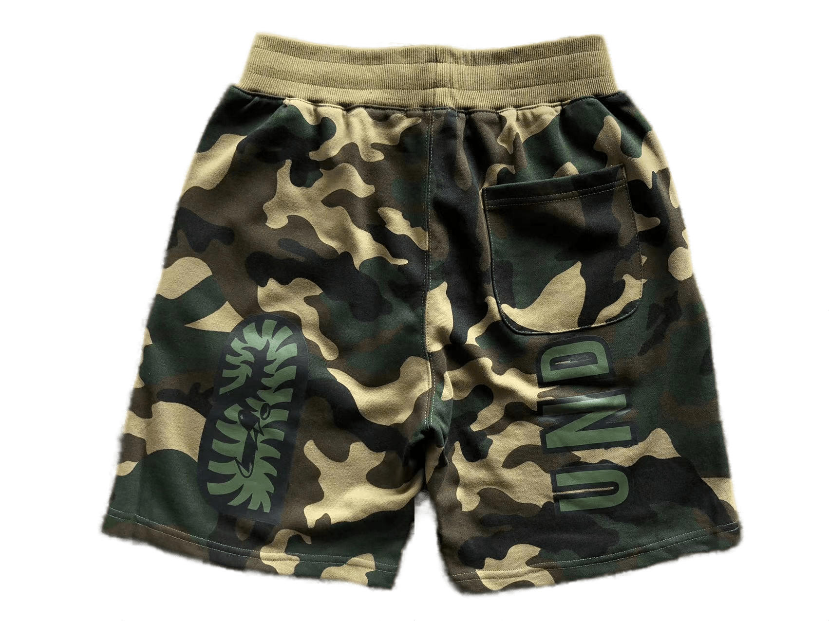 e661eb_17cf8ba5c7934f46a9beb1c23d8b44e6~mv2.png